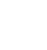 saivay_logo